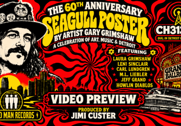 SeagullVideo-nopreview