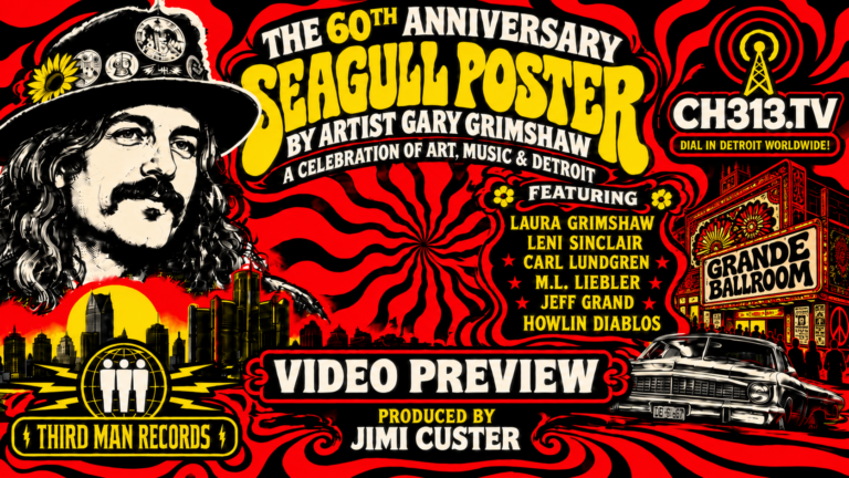 SeagullVideo-nopreview